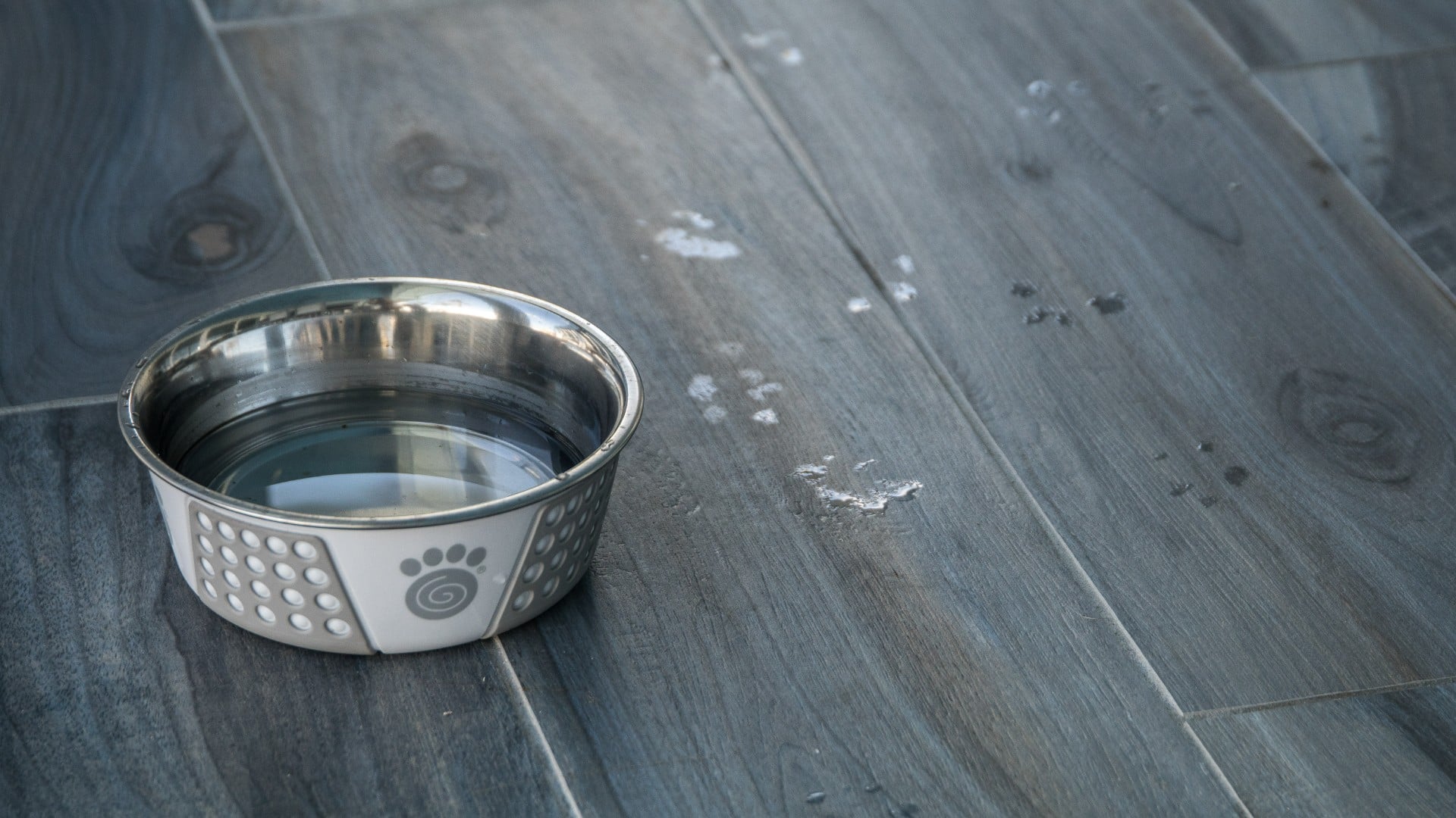 dog bowl in kitchen floor