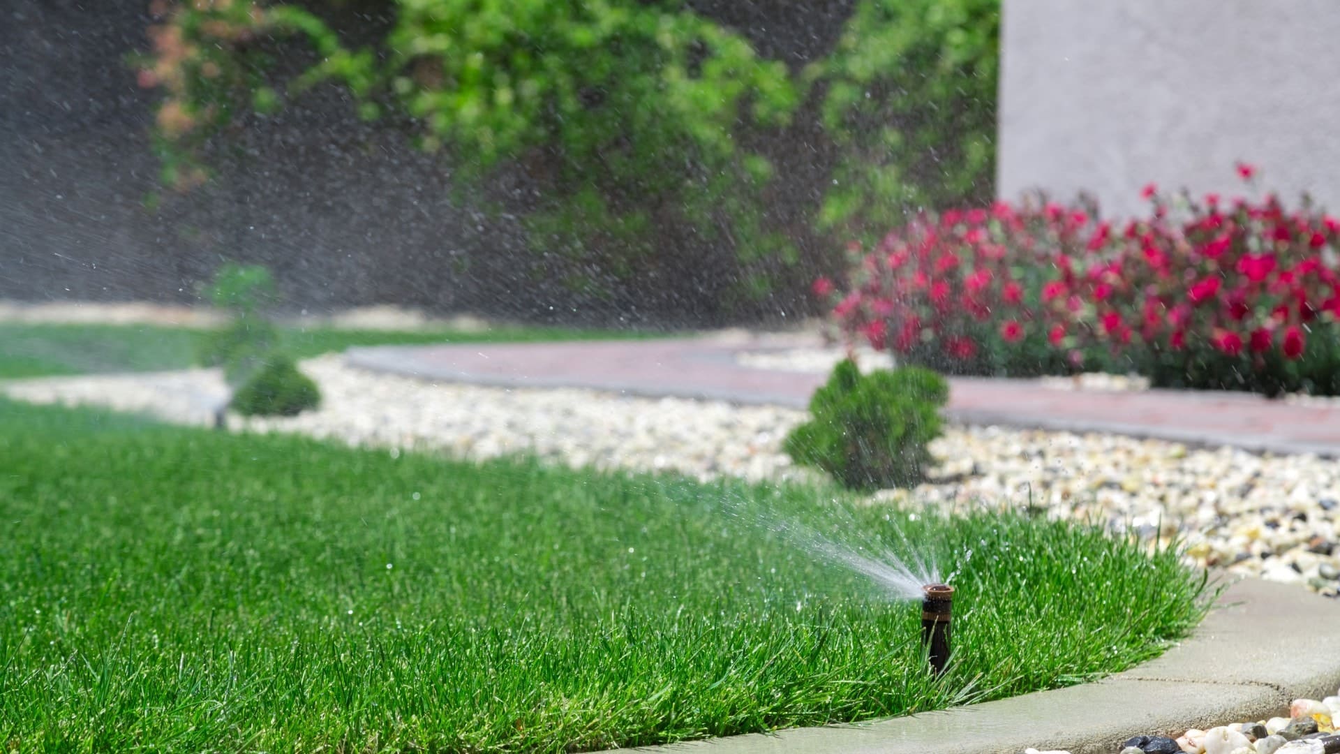 lawn-sprinkler-watering
